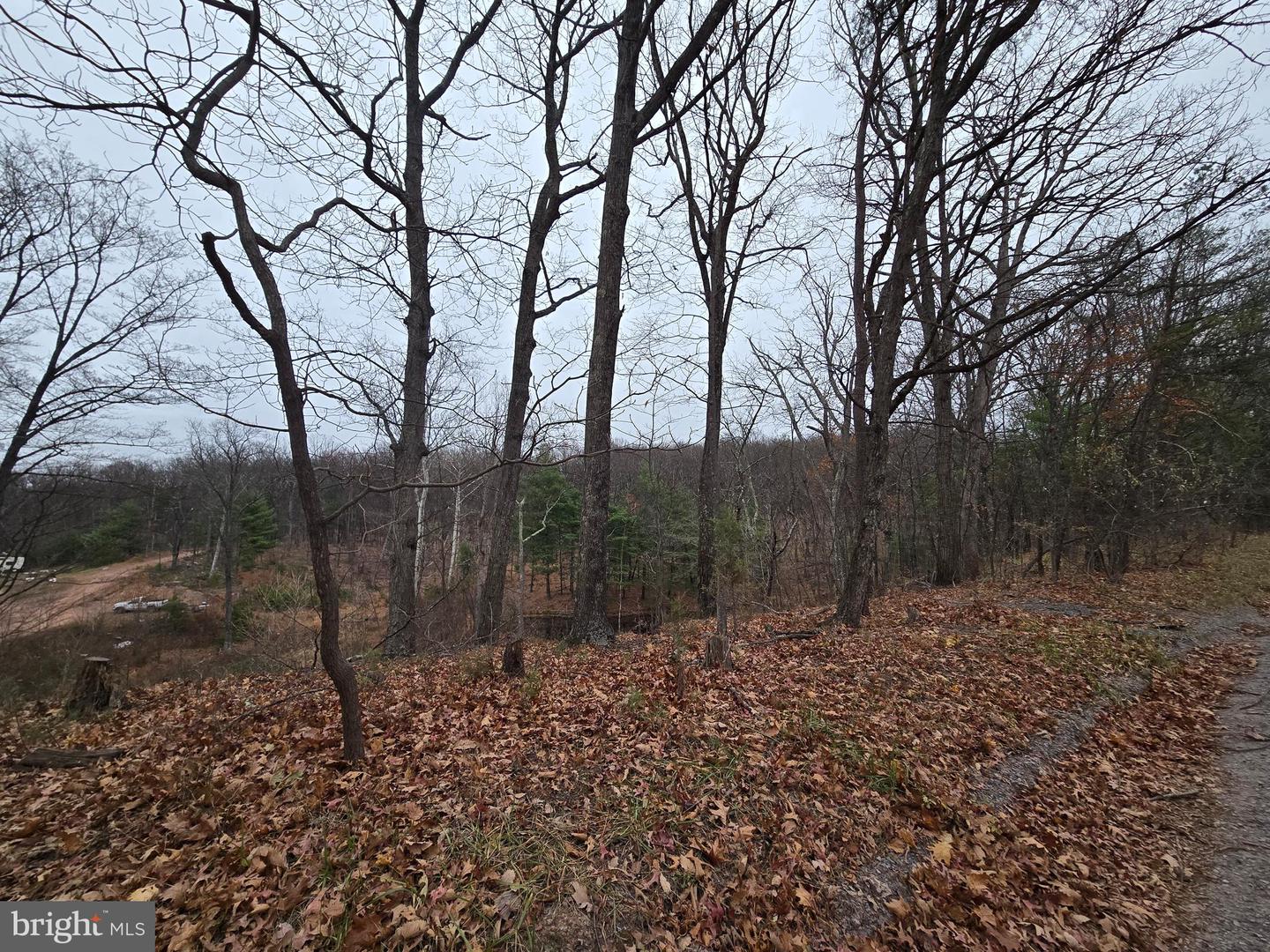 0 SHOCKEYSVILLE RD, WINCHESTER, Virginia 22603, ,Land,For sale,0 SHOCKEYSVILLE RD,VAFV2038088 MLS # VAFV2038088