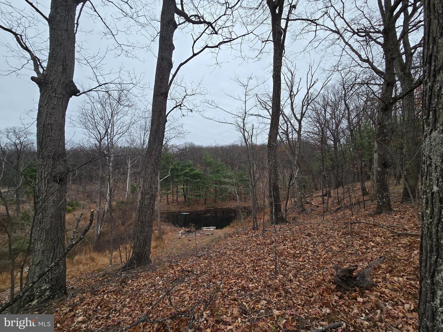 0 SHOCKEYSVILLE RD, WINCHESTER, Virginia 22603, ,Land,For sale,0 SHOCKEYSVILLE RD,VAFV2038088 MLS # VAFV2038088