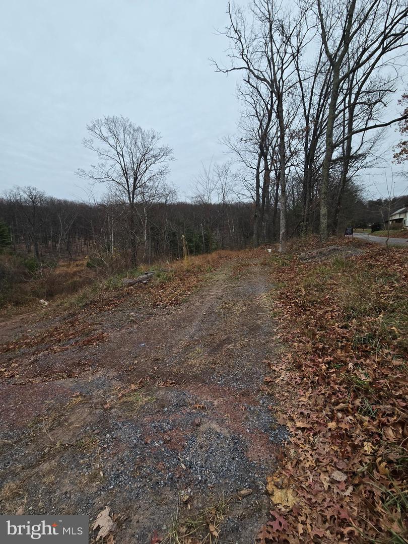 0 SHOCKEYSVILLE RD, WINCHESTER, Virginia 22603, ,Land,For sale,0 SHOCKEYSVILLE RD,VAFV2038088 MLS # VAFV2038088