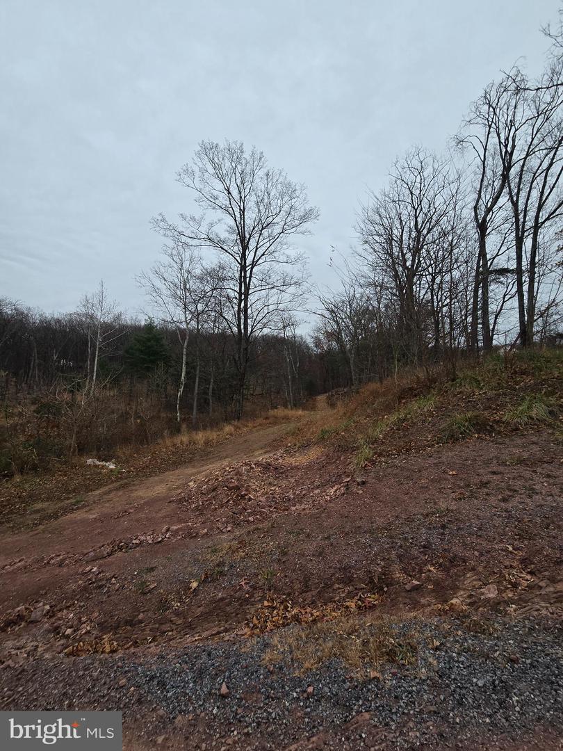 0 SHOCKEYSVILLE RD, WINCHESTER, Virginia 22603, ,Land,For sale,0 SHOCKEYSVILLE RD,VAFV2038088 MLS # VAFV2038088