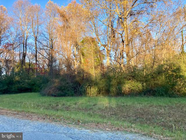 SHINGLE HILL, KINSALE, Virginia 22488, ,Land,For sale,SHINGLE HILL,VAWE2010132 MLS # VAWE2010132
