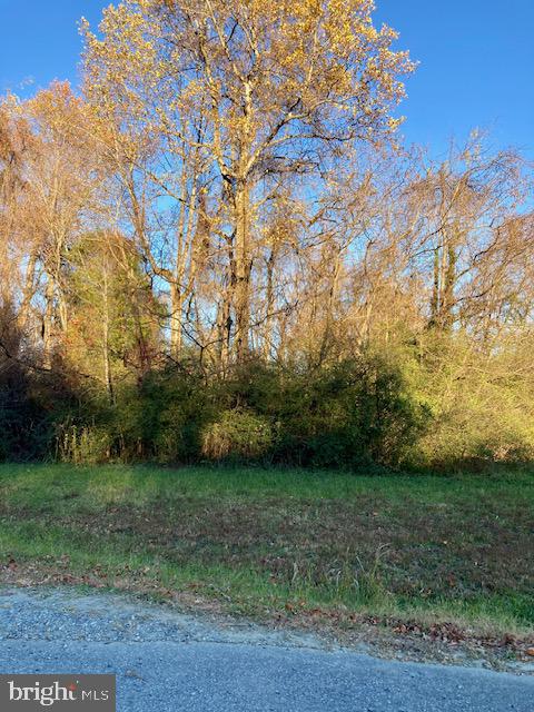 SHINGLE HILL, KINSALE, Virginia 22488, ,Land,For sale,SHINGLE HILL,VAWE2010132 MLS # VAWE2010132