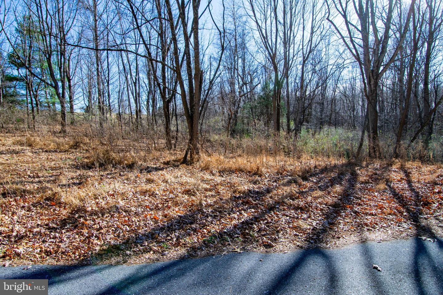 00 WESTRIDGE DR, CHURCHVILLE, Virginia 24421, ,Land,For sale,00 WESTRIDGE DR,VAAG2002710 MLS # VAAG2002710