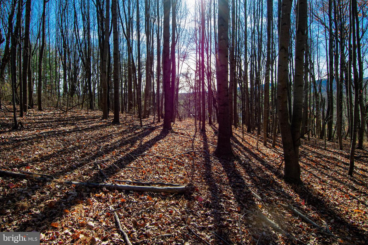 00 WESTRIDGE DR, CHURCHVILLE, Virginia 24421, ,Land,For sale,00 WESTRIDGE DR,VAAG2002710 MLS # VAAG2002710