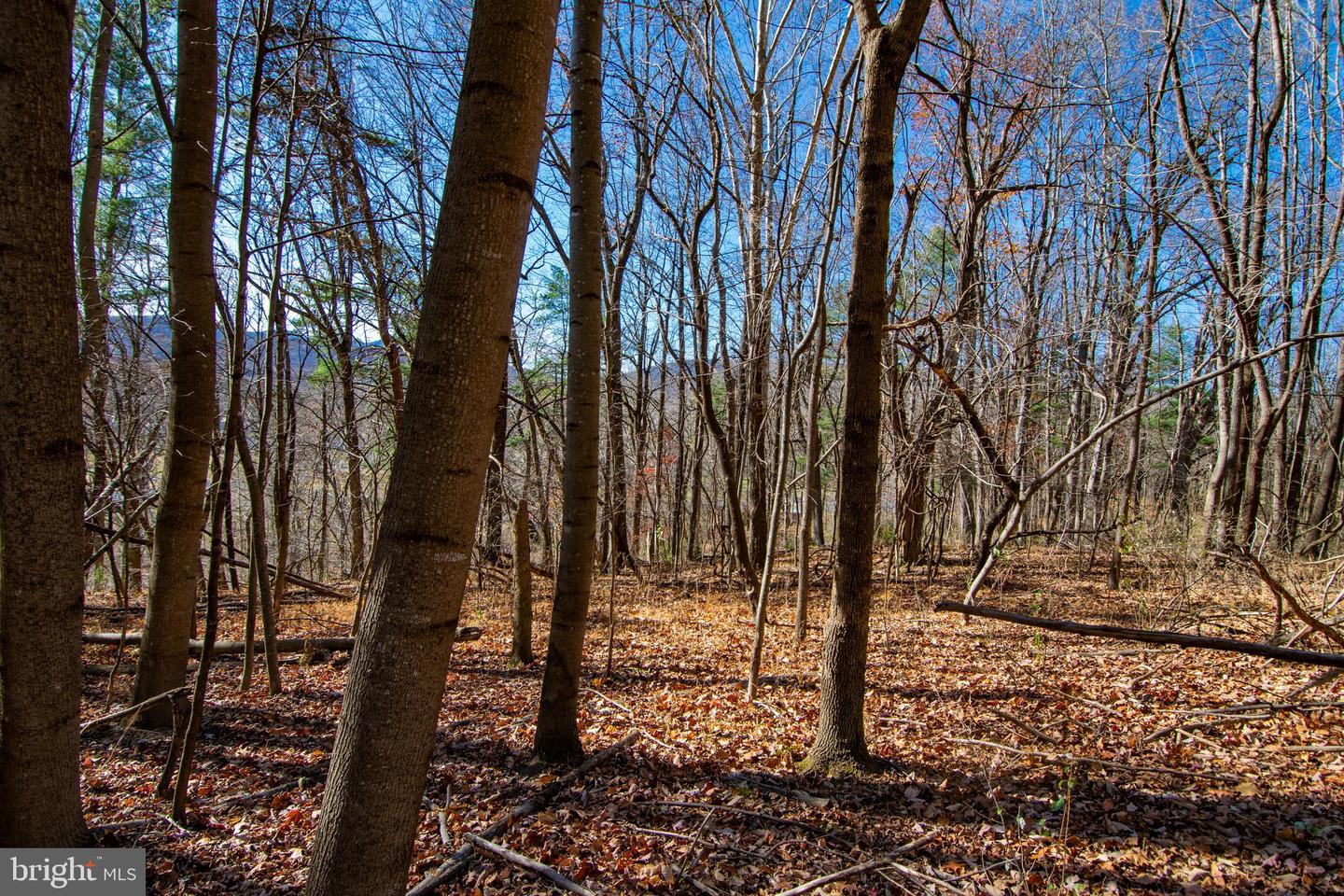 00 WESTRIDGE DR, CHURCHVILLE, Virginia 24421, ,Land,For sale,00 WESTRIDGE DR,VAAG2002710 MLS # VAAG2002710