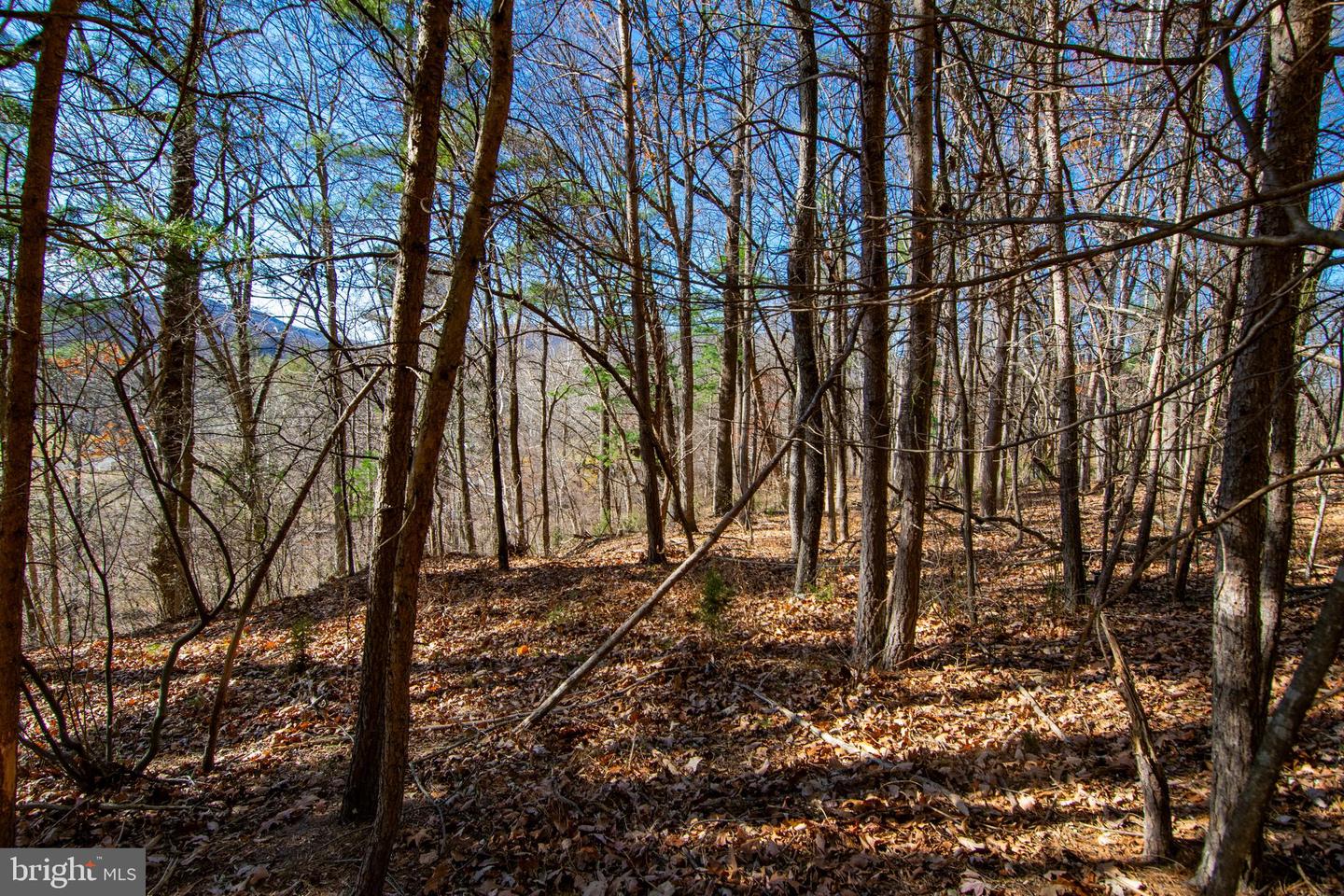 00 WESTRIDGE DR, CHURCHVILLE, Virginia 24421, ,Land,For sale,00 WESTRIDGE DR,VAAG2002710 MLS # VAAG2002710