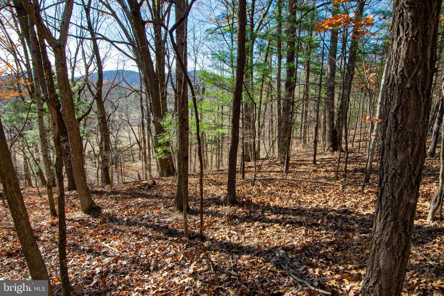 00 WESTRIDGE DR, CHURCHVILLE, Virginia 24421, ,Land,For sale,00 WESTRIDGE DR,VAAG2002710 MLS # VAAG2002710