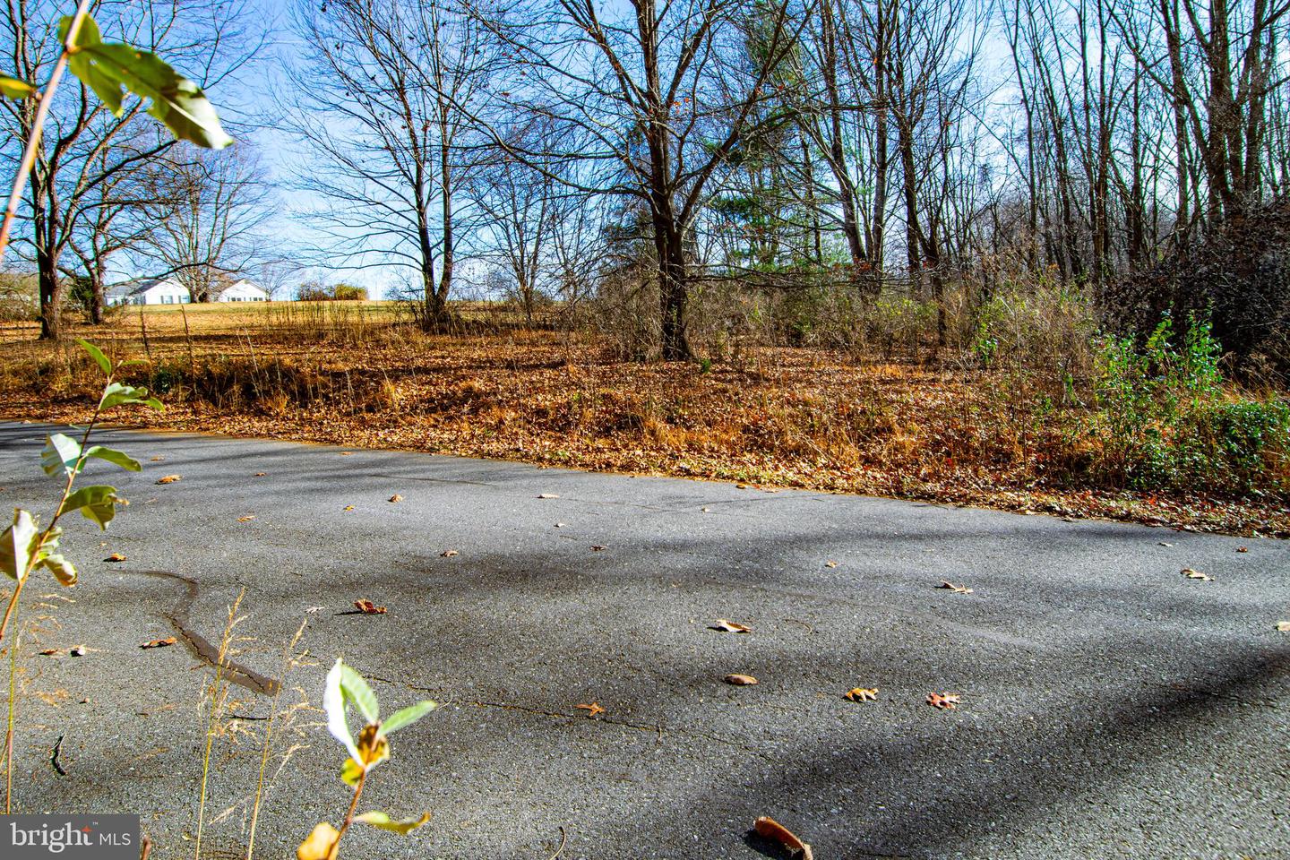 00 WESTRIDGE DR, CHURCHVILLE, Virginia 24421, ,Land,For sale,00 WESTRIDGE DR,VAAG2002710 MLS # VAAG2002710