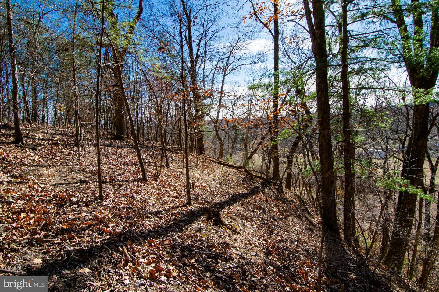 00 WESTRIDGE DR, CHURCHVILLE, Virginia 24421, ,Land,For sale,00 WESTRIDGE DR,VAAG2002710 MLS # VAAG2002710