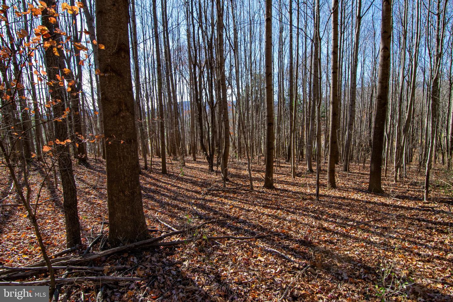 00 WESTRIDGE DR, CHURCHVILLE, Virginia 24421, ,Land,For sale,00 WESTRIDGE DR,VAAG2002710 MLS # VAAG2002710