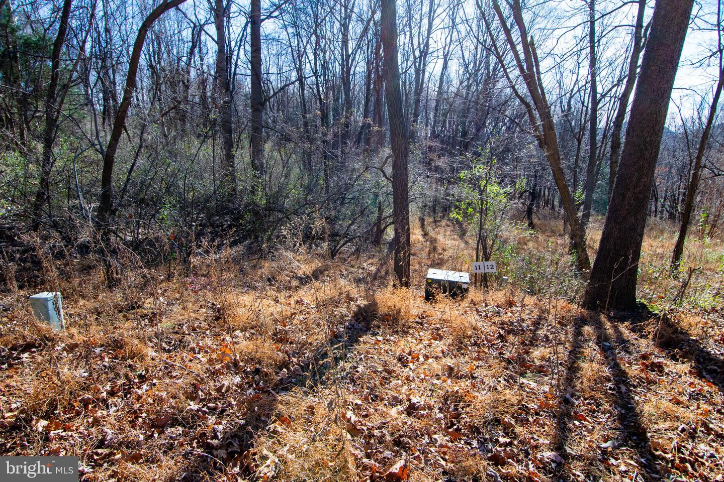 00 WESTRIDGE DR, CHURCHVILLE, Virginia 24421, ,Land,For sale,00 WESTRIDGE DR,VAAG2002710 MLS # VAAG2002710