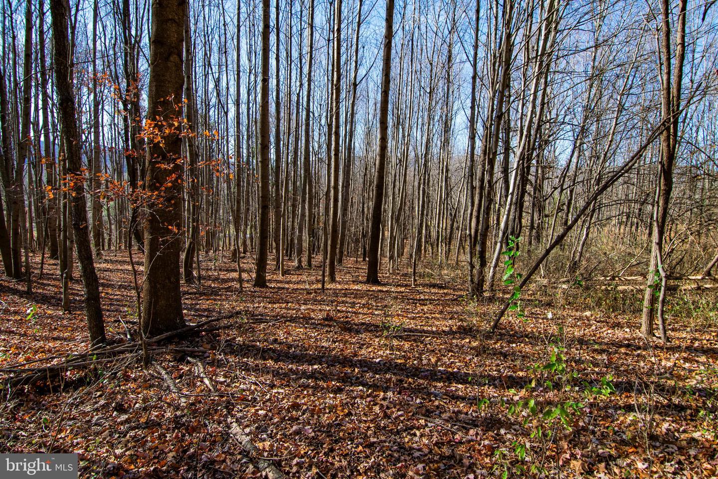 00 WESTRIDGE DR, CHURCHVILLE, Virginia 24421, ,Land,For sale,00 WESTRIDGE DR,VAAG2002710 MLS # VAAG2002710