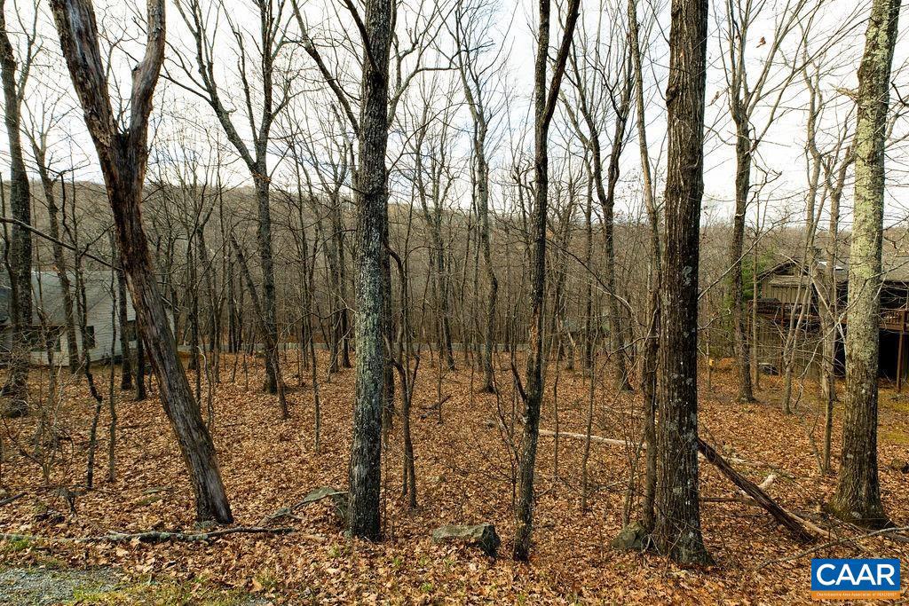 105 DEN TREE LN #SHAMOKIN SPRINGS LOT, WINTERGREEN RESORT, Virginia 22967, ,Land,For sale,105 DEN TREE LN #SHAMOKIN SPRINGS LOT,671231 MLS # 671231