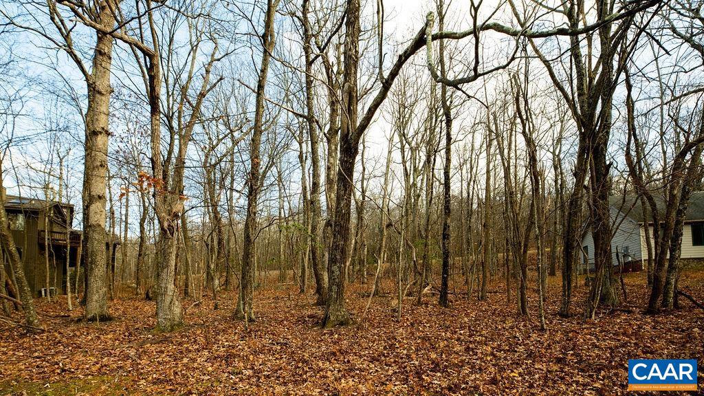 105 DEN TREE LN #SHAMOKIN SPRINGS LOT, WINTERGREEN RESORT, Virginia 22967, ,Land,For sale,105 DEN TREE LN #SHAMOKIN SPRINGS LOT,671231 MLS # 671231