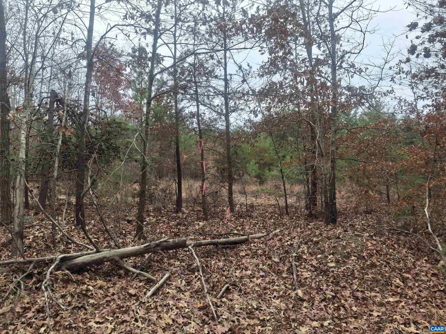 0 INDIAN PIPE RUN, PALMYRA, Virginia 22963, ,Land,For sale,0 INDIAN PIPE RUN,671236 MLS # 671236