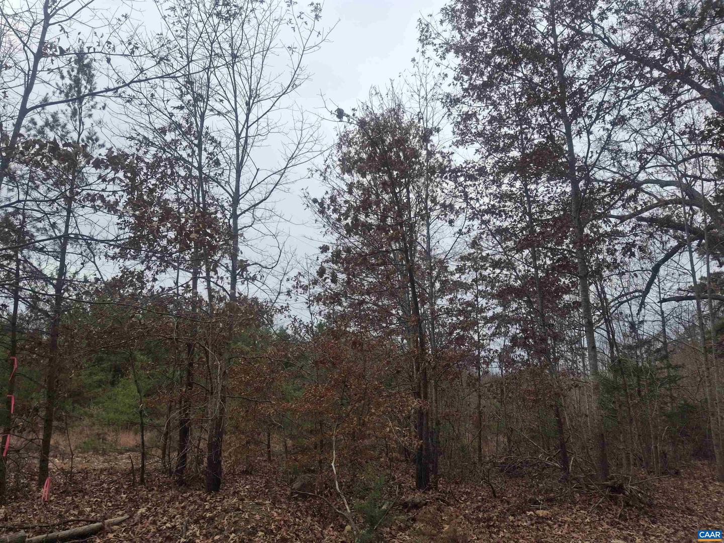 0 INDIAN PIPE RUN, PALMYRA, Virginia 22963, ,Land,For sale,0 INDIAN PIPE RUN,671236 MLS # 671236