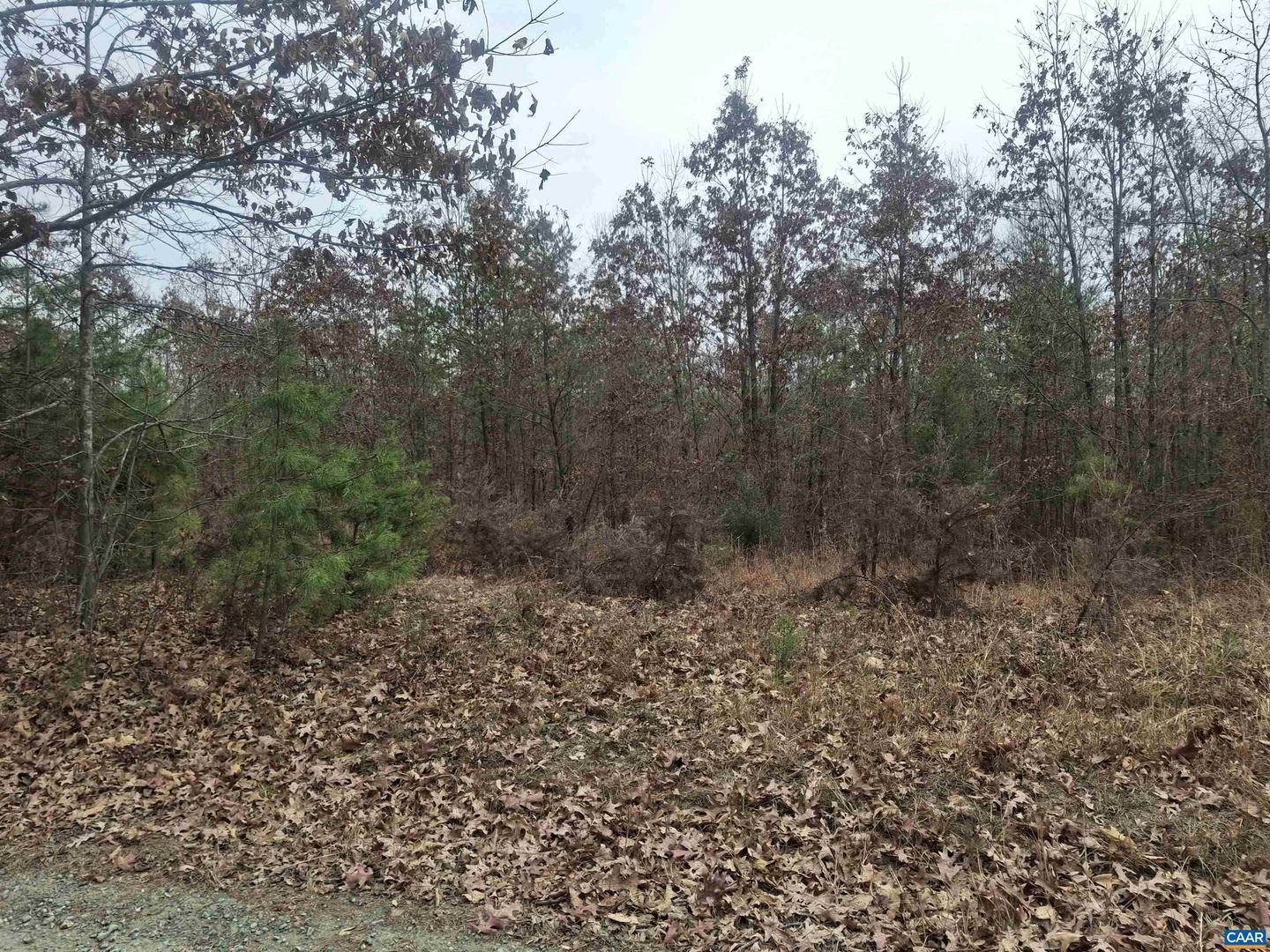 0 INDIAN PIPE RUN, PALMYRA, Virginia 22963, ,Land,For sale,0 INDIAN PIPE RUN,671236 MLS # 671236