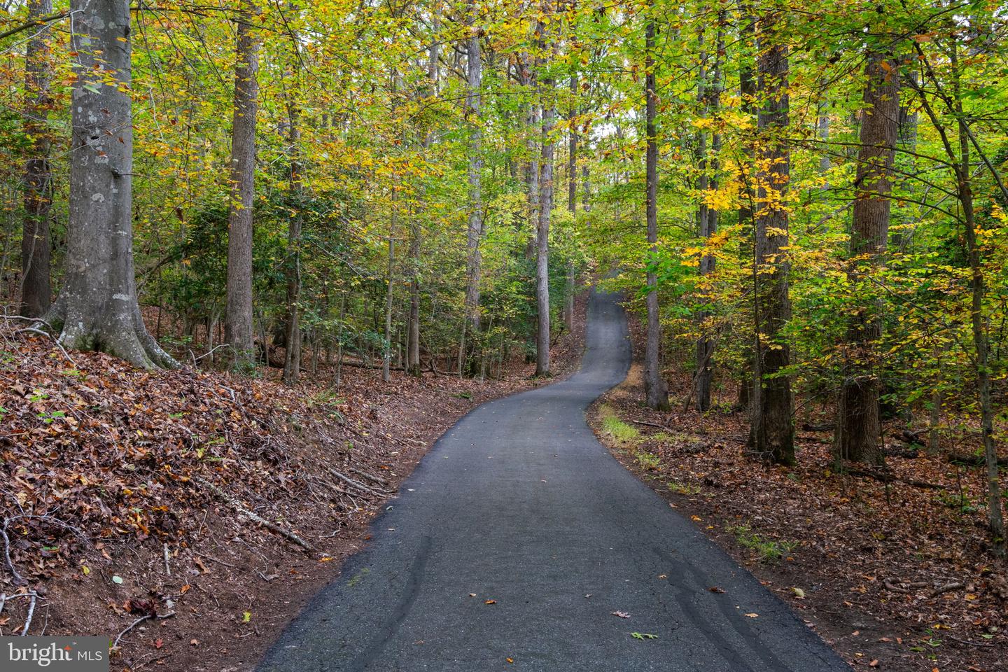 19 WINDRUSH CT, STAFFORD, Virginia 22554, 4 Bedrooms Bedrooms, ,3 BathroomsBathrooms,Residential,For sale,19 WINDRUSH CT,VAST2041764 MLS # VAST2041764 19 WINDRUSH CT, STAFFORD, Virginia 22554, 4 Bedrooms Bedrooms, ,3 BathroomsBathrooms,Residential,For sale,19 WINDRUSH CT,VAST2041764 MLS # VAST2041764