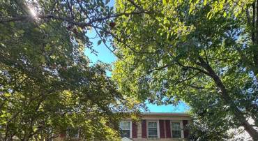 34 N GARFIELD ST, ARLINGTON, Virginia 22201, 4 Bedrooms Bedrooms, ,3 BathroomsBathrooms,Residential,For sale,34 N GARFIELD ST,VAAR2063828 MLS # VAAR2063828