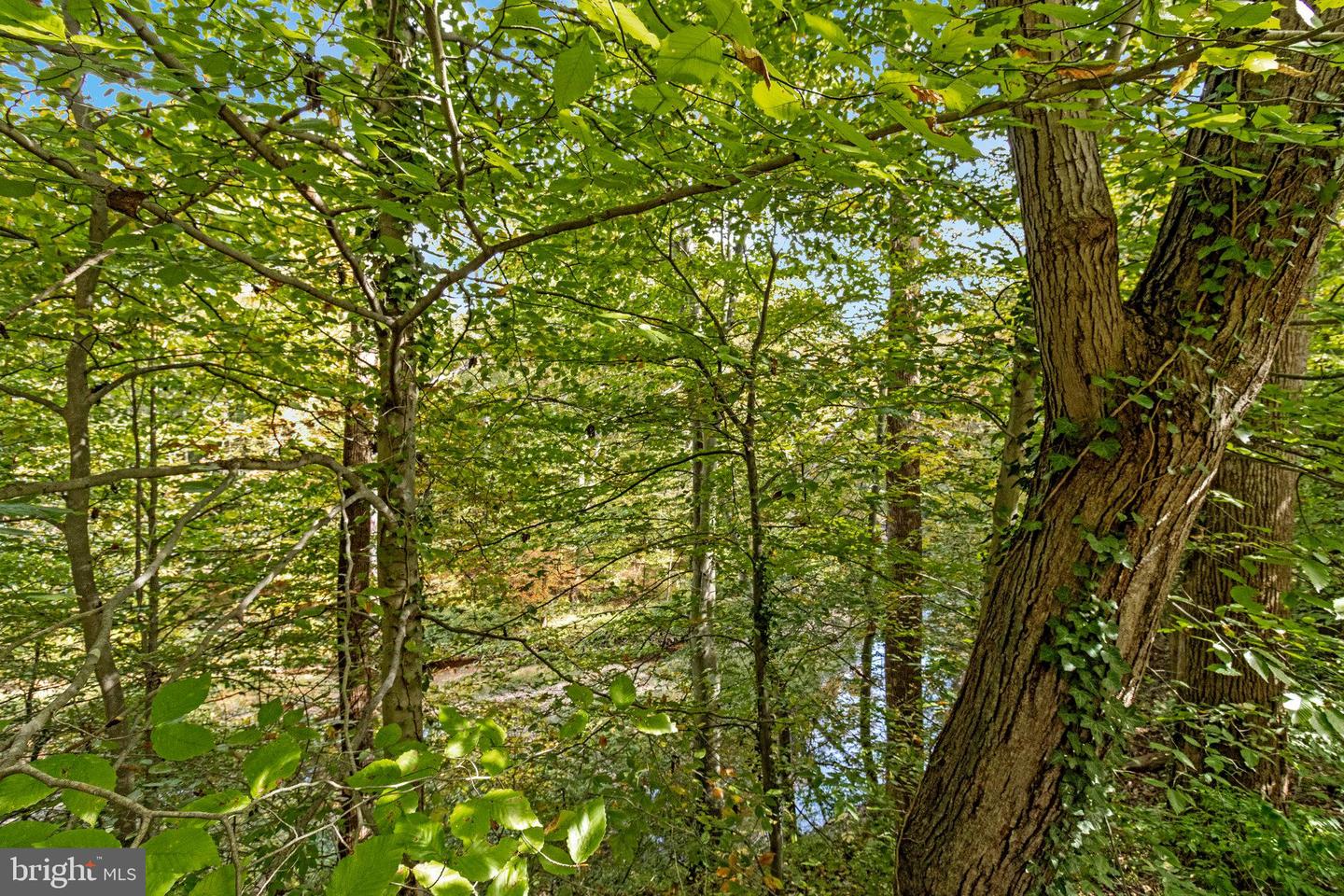 6513 ORONO CT, SPRINGFIELD, Virginia 22152, 2 Bedrooms Bedrooms, ,2 BathroomsBathrooms,Residential,For sale,6513 ORONO CT,VAFX2275482 MLS # VAFX2275482