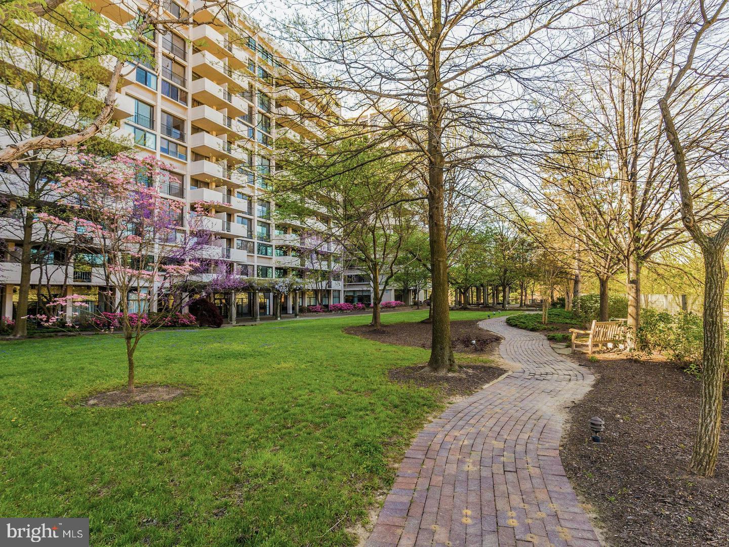 4141 N HENDERSON RD #107, ARLINGTON, Virginia 22203, 1 Bedroom Bedrooms, ,1 BathroomBathrooms,Residential,For sale,4141 N HENDERSON RD #107,VAAR2066038 MLS # VAAR2066038 4141 N HENDERSON RD #107, ARLINGTON, Virginia 22203, 1 Bedroom Bedrooms, ,1 BathroomBathrooms,Residential,For sale,4141 N HENDERSON RD #107,VAAR2066038 MLS # VAAR2066038