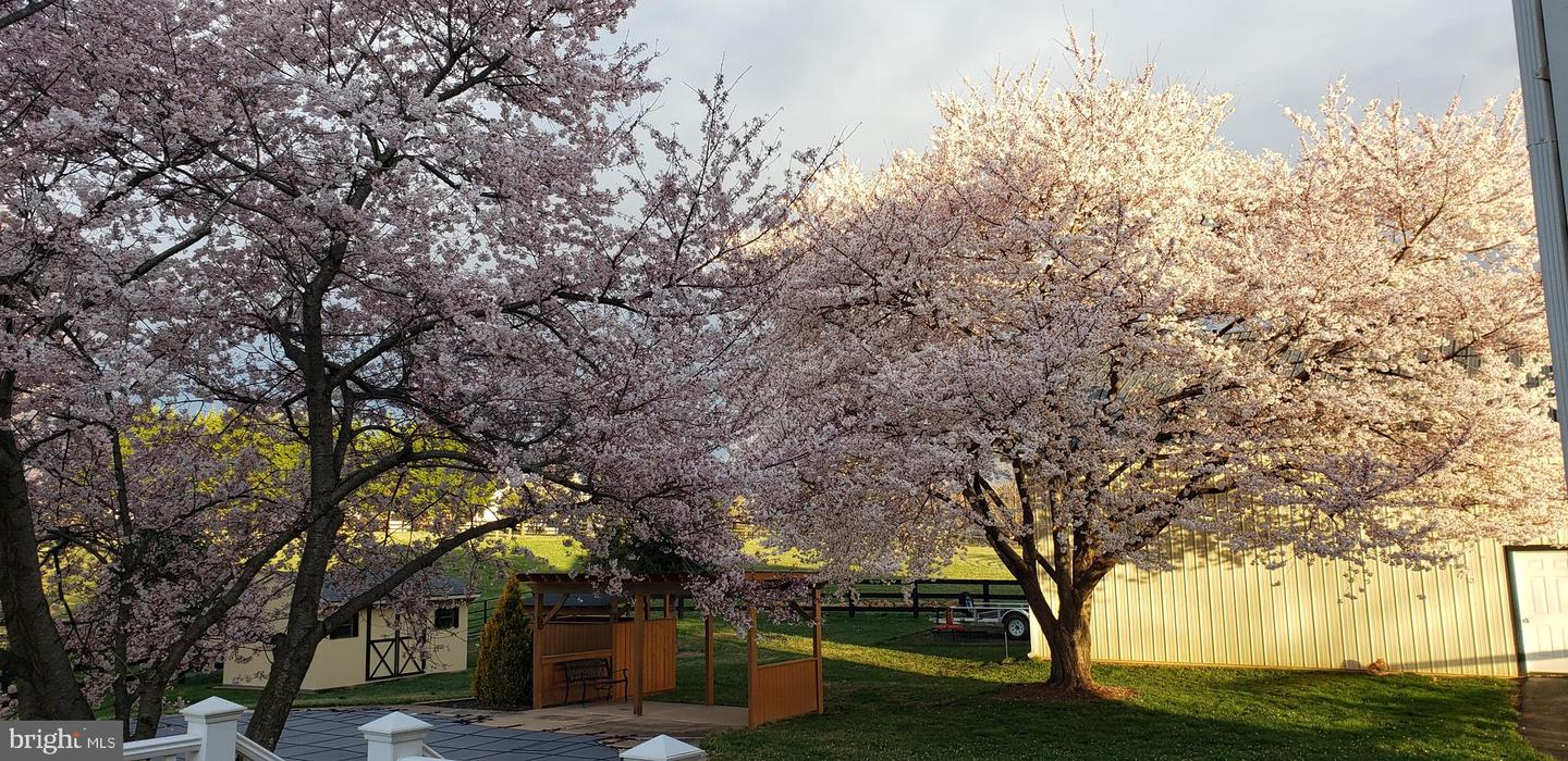 38607 MILLSTONE, HILLSBORO, Virginia 20132, 4 Bedrooms Bedrooms, ,3 BathroomsBathrooms,Residential,For sale,38607 MILLSTONE,VALO2111166 MLS # VALO2111166 38607 MILLSTONE, HILLSBORO, Virginia 20132, 4 Bedrooms Bedrooms, ,3 BathroomsBathrooms,Residential,For sale,38607 MILLSTONE,VALO2111166 MLS # VALO2111166