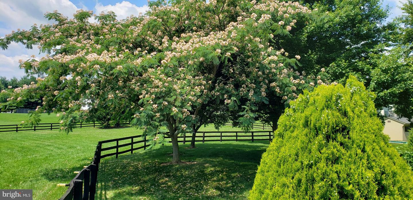 38607 MILLSTONE, HILLSBORO, Virginia 20132, 4 Bedrooms Bedrooms, ,3 BathroomsBathrooms,Residential,For sale,38607 MILLSTONE,VALO2111166 MLS # VALO2111166 38607 MILLSTONE, HILLSBORO, Virginia 20132, 4 Bedrooms Bedrooms, ,3 BathroomsBathrooms,Residential,For sale,38607 MILLSTONE,VALO2111166 MLS # VALO2111166