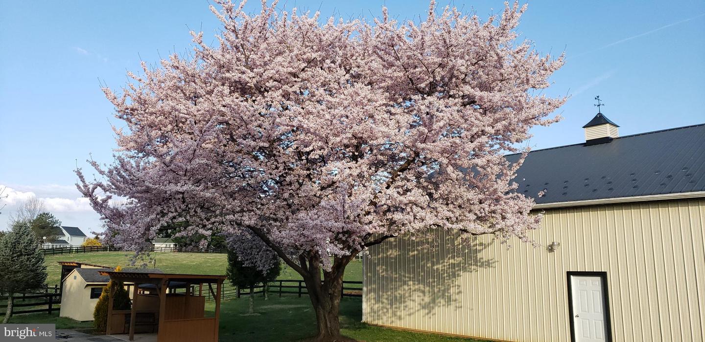 38607 MILLSTONE, HILLSBORO, Virginia 20132, 4 Bedrooms Bedrooms, ,3 BathroomsBathrooms,Residential,For sale,38607 MILLSTONE,VALO2111166 MLS # VALO2111166 38607 MILLSTONE, HILLSBORO, Virginia 20132, 4 Bedrooms Bedrooms, ,3 BathroomsBathrooms,Residential,For sale,38607 MILLSTONE,VALO2111166 MLS # VALO2111166