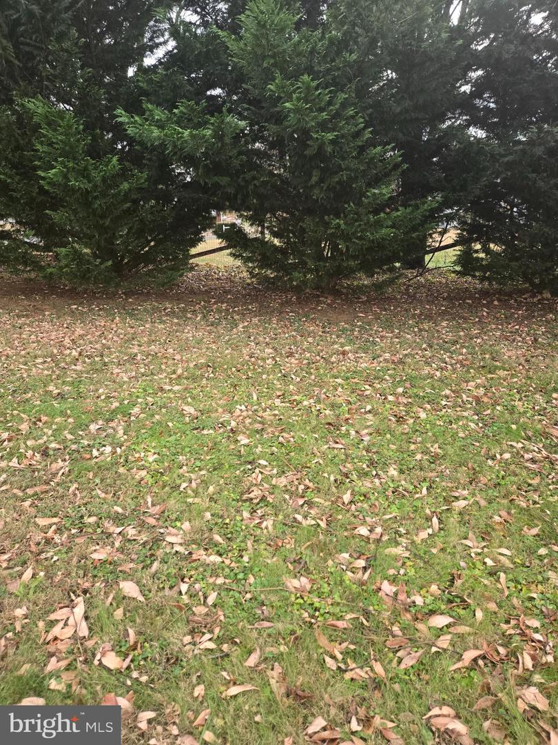 53 MADISON ST, WARRENTON, Virginia 20186, 5 Bedrooms Bedrooms, ,1 BathroomBathrooms,Residential,For sale,53 MADISON ST,VAFQ2019680 MLS # VAFQ2019680