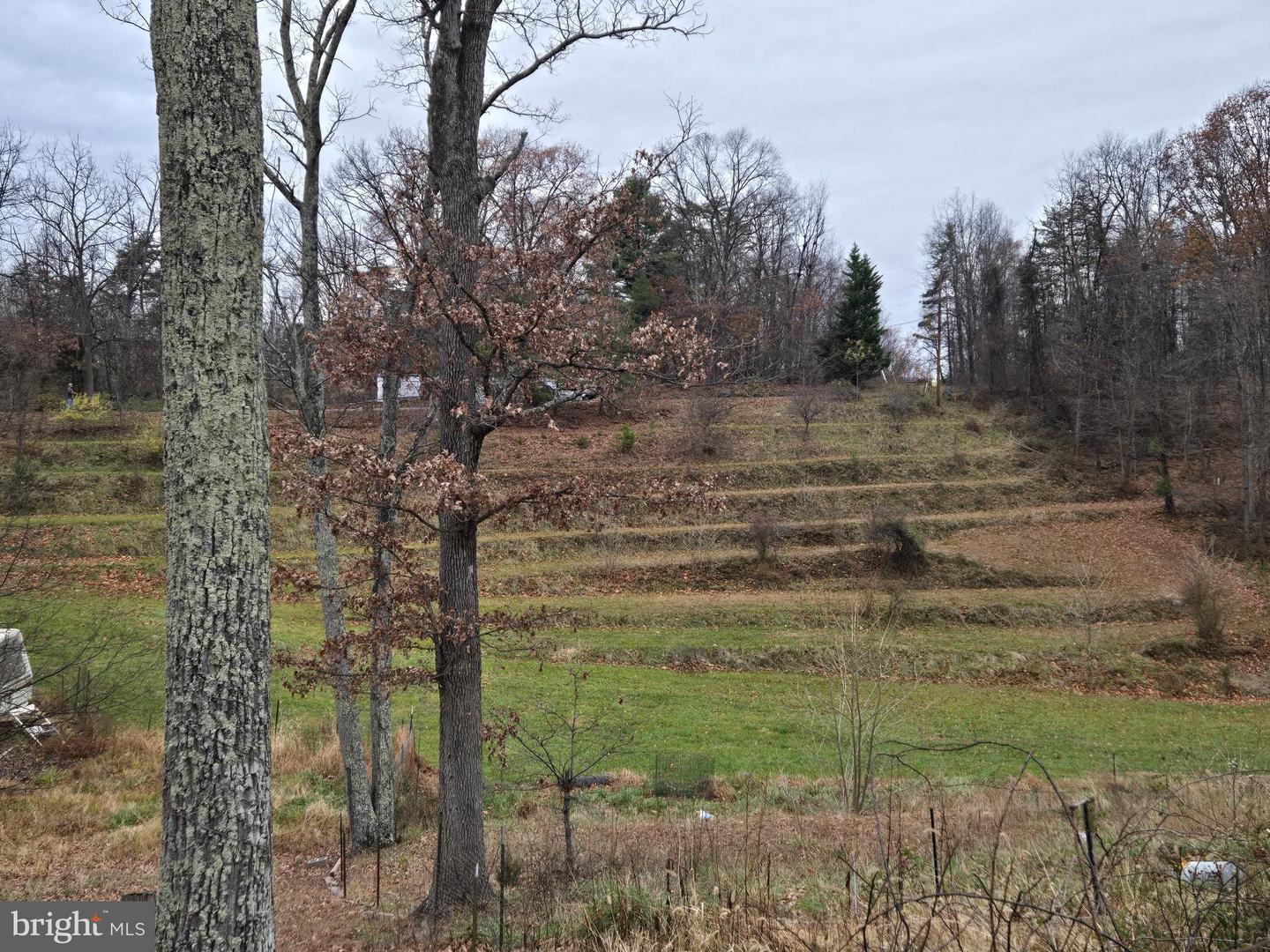 163 CABIN LN, WINCHESTER, Virginia 22603, 3 Bedrooms Bedrooms, ,2 BathroomsBathrooms,Residential,For sale,163 CABIN LN,VAFV2038084 MLS # VAFV2038084