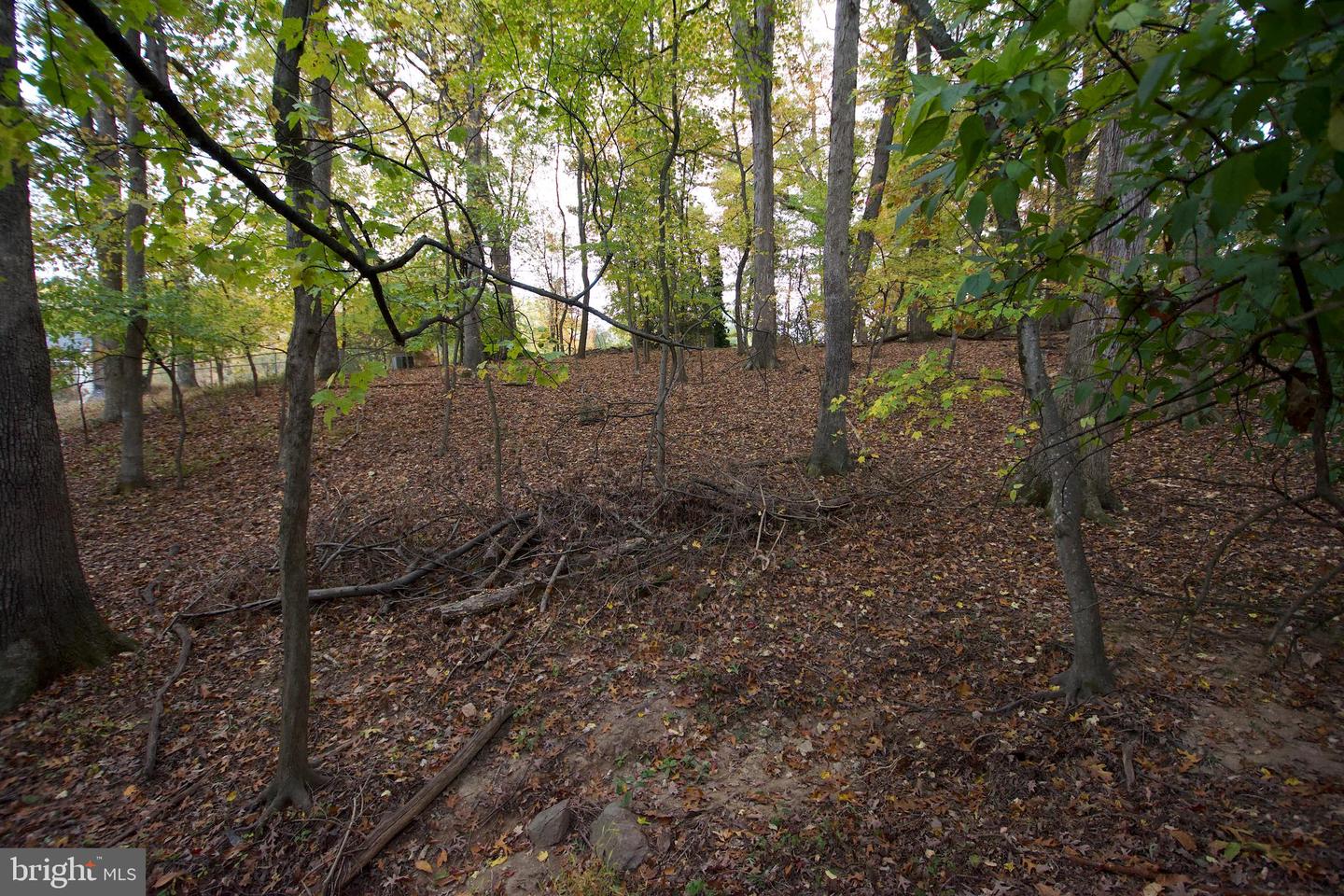 9921 WOODROW ST, VIENNA, Virginia 22181, ,Land,For sale,9921 WOODROW ST,VAFX2279400 MLS # VAFX2279400