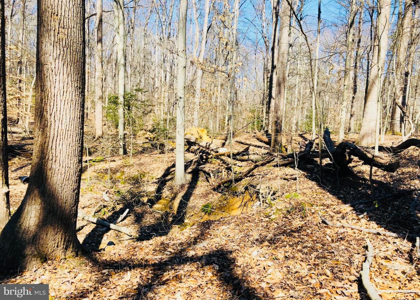 12357 PURCELL RD, MANASSAS, Virginia 20112, ,Land,For sale,12357 PURCELL RD,VAPW2107994 MLS # VAPW2107994 12357 PURCELL RD, MANASSAS, Virginia 20112, ,Land,For sale,12357 PURCELL RD,VAPW2107994 MLS # VAPW2107994
