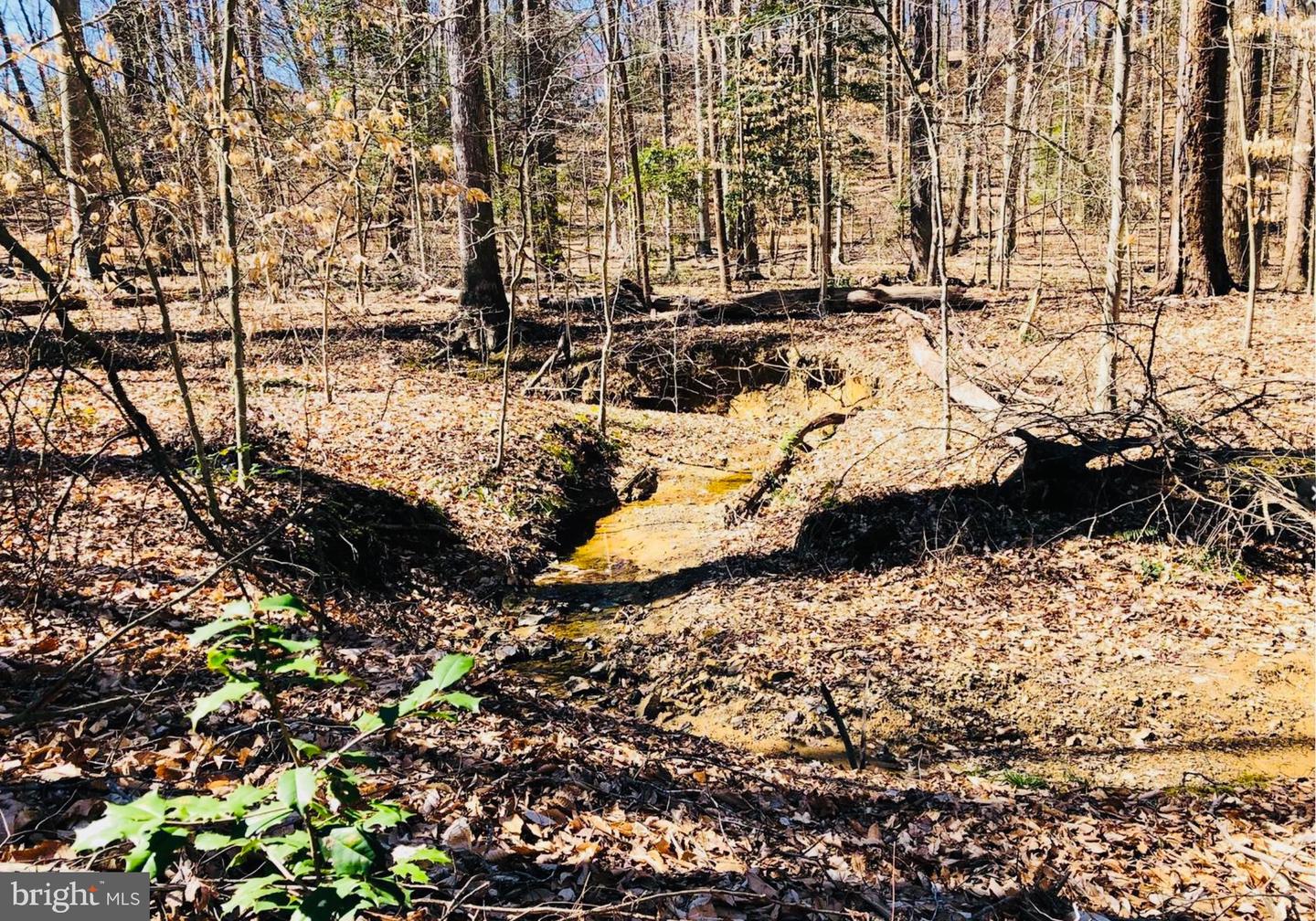 12357 PURCELL RD, MANASSAS, Virginia 20112, ,Land,For sale,12357 PURCELL RD,VAPW2107994 MLS # VAPW2107994 12357 PURCELL RD, MANASSAS, Virginia 20112, ,Land,For sale,12357 PURCELL RD,VAPW2107994 MLS # VAPW2107994