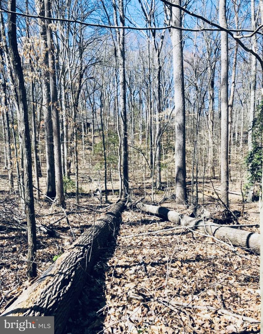 12357 PURCELL RD, MANASSAS, Virginia 20112, ,Land,For sale,12357 PURCELL RD,VAPW2107994 MLS # VAPW2107994 12357 PURCELL RD, MANASSAS, Virginia 20112, ,Land,For sale,12357 PURCELL RD,VAPW2107994 MLS # VAPW2107994