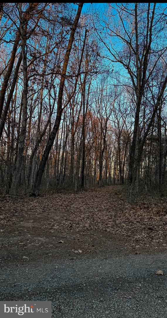 ROBERTS LANE LN, RIXEYVILLE, Virginia 22737, ,Land,For sale,ROBERTS LANE LN,VACU2012112 MLS # VACU2012112 ROBERTS LANE LN, RIXEYVILLE, Virginia 22737, ,Land,For sale,ROBERTS LANE LN,VACU2012112 MLS # VACU2012112