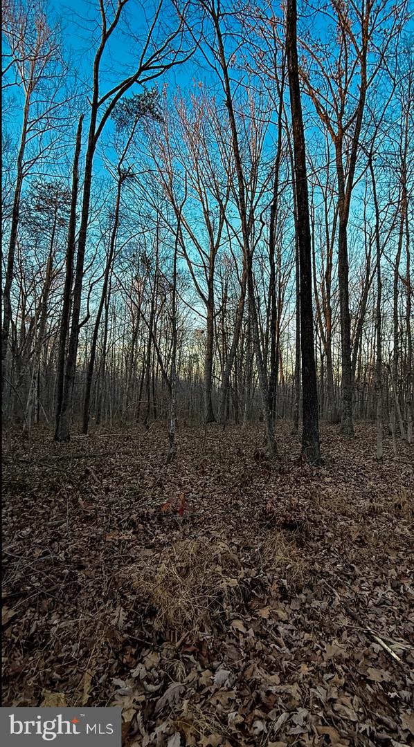 ROBERTS LANE LN, RIXEYVILLE, Virginia 22737, ,Land,For sale,ROBERTS LANE LN,VACU2012112 MLS # VACU2012112 ROBERTS LANE LN, RIXEYVILLE, Virginia 22737, ,Land,For sale,ROBERTS LANE LN,VACU2012112 MLS # VACU2012112