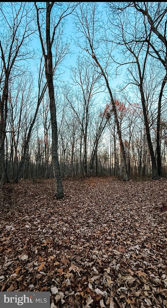 ROBERTS LANE LN, RIXEYVILLE, Virginia 22737, ,Land,For sale,ROBERTS LANE LN,VACU2012112 MLS # VACU2012112