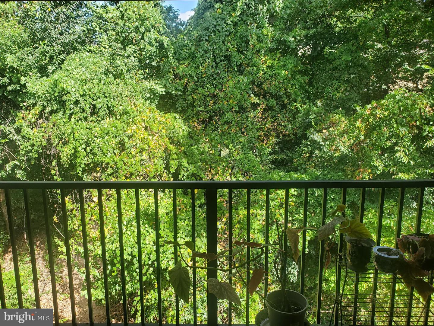 11604 STONEVIEW SQ #64/21C, RESTON, Virginia 20191, 3 Bedrooms Bedrooms, 5 Rooms Rooms,2 BathroomsBathrooms,Residential,For sale,11604 STONEVIEW SQ #64/21C,VAFX2267010 MLS # VAFX2267010