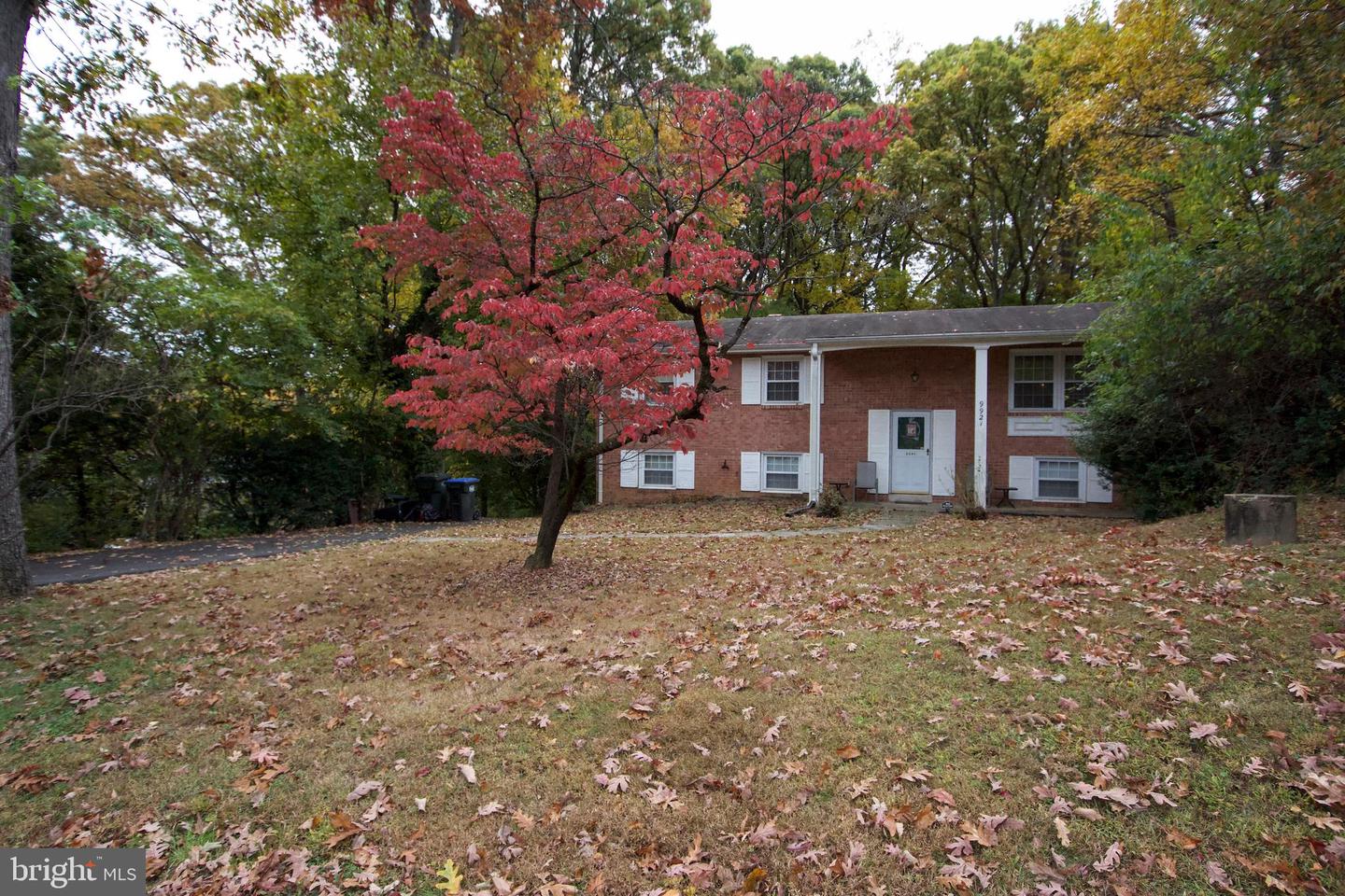 9921 WOODROW ST, VIENNA, Virginia 22181, 5 Bedrooms Bedrooms, ,2 BathroomsBathrooms,Residential,For sale,9921 WOODROW ST,VAFX2276860 MLS # VAFX2276860 9921 WOODROW ST, VIENNA, Virginia 22181, 5 Bedrooms Bedrooms, ,2 BathroomsBathrooms,Residential,For sale,9921 WOODROW ST,VAFX2276860 MLS # VAFX2276860