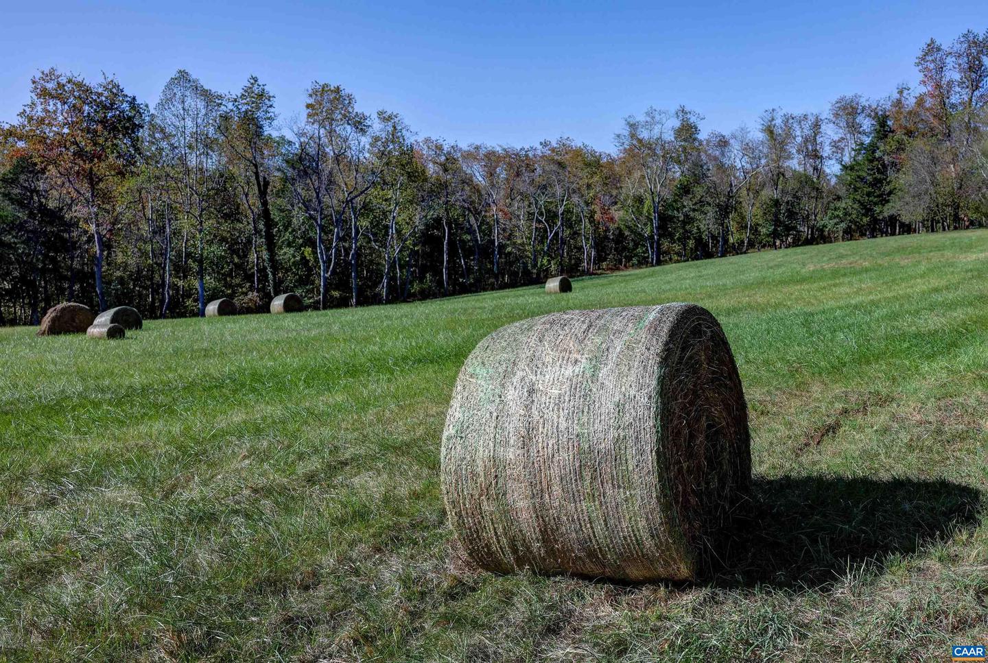 4710 DICKERSON RD, CHARLOTTESVILLE, Virginia 22911, 4 Bedrooms Bedrooms, ,3 BathroomsBathrooms,Residential,For sale,4710 DICKERSON RD,671230 MLS # 671230