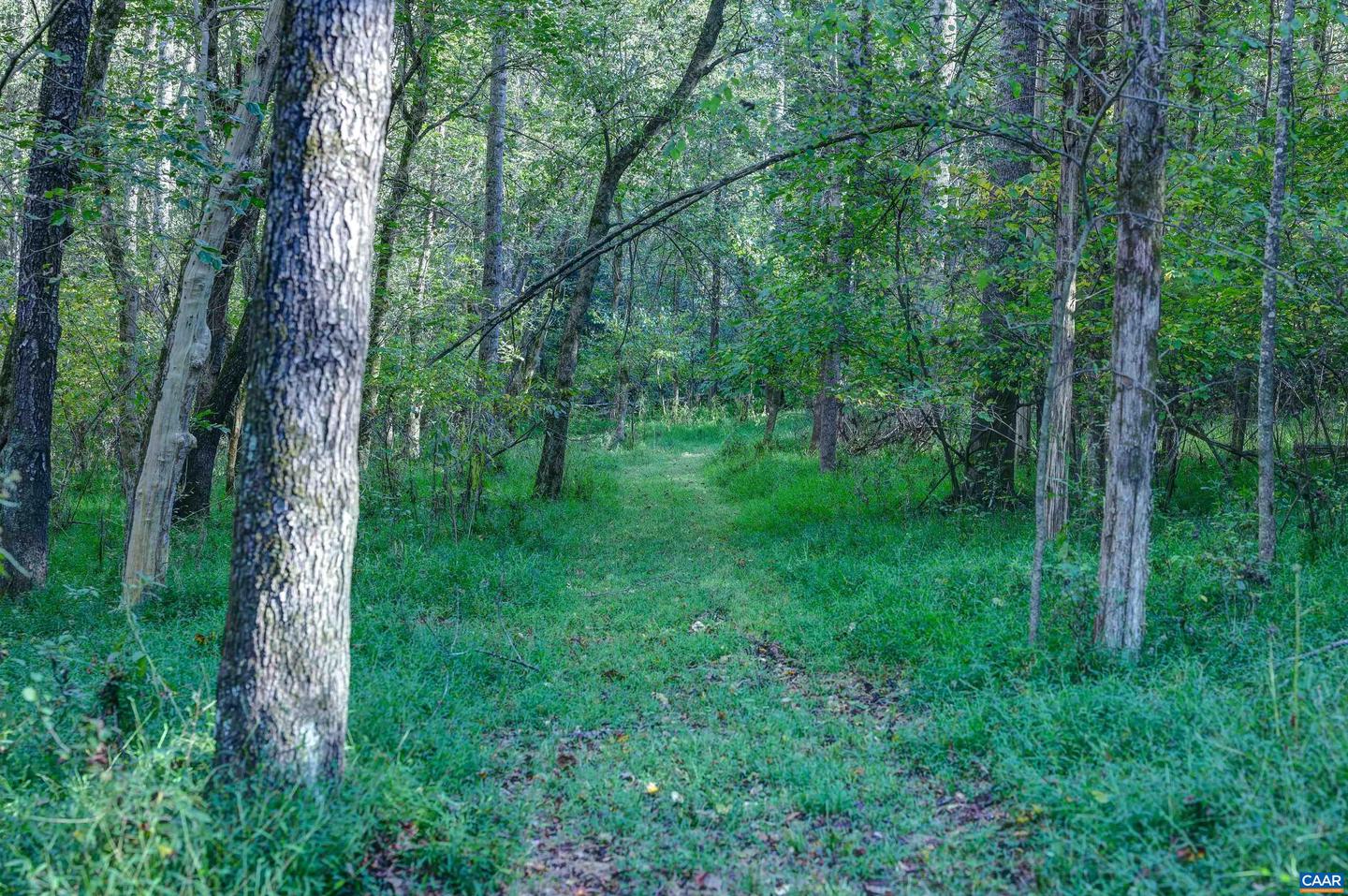 4710 DICKERSON RD, CHARLOTTESVILLE, Virginia 22911, 4 Bedrooms Bedrooms, ,3 BathroomsBathrooms,Residential,For sale,4710 DICKERSON RD,671230 MLS # 671230