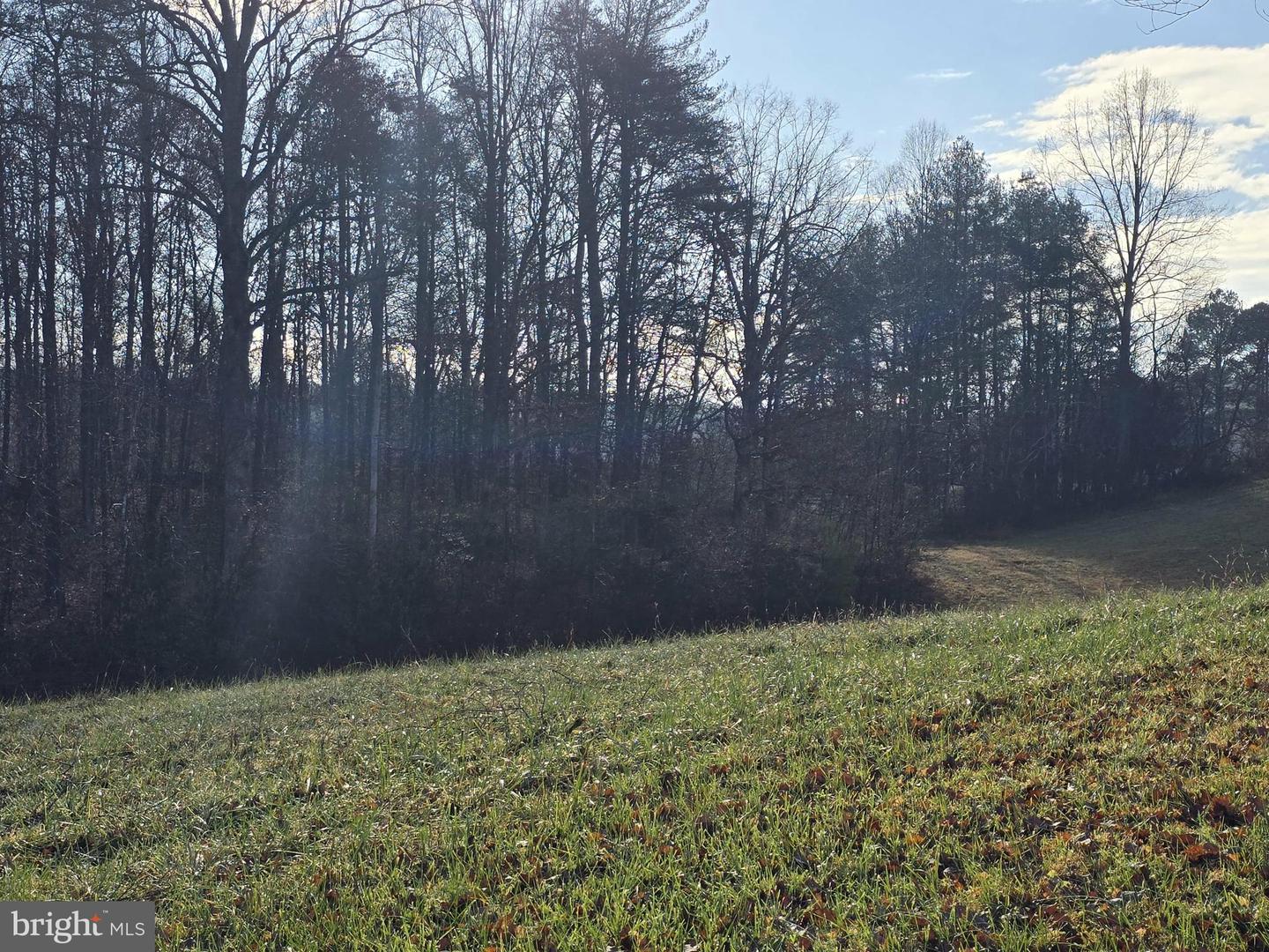 729 CELT RD, STANARDSVILLE, Virginia 22973, ,Residential,For sale,729 CELT RD,VAGR2000780 MLS # VAGR2000780