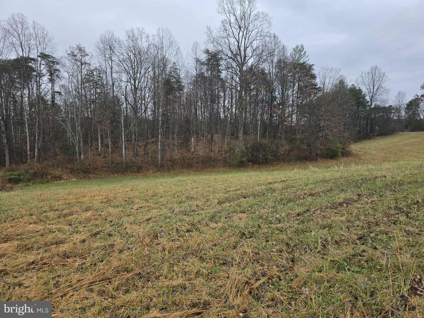 729 CELT RD, STANARDSVILLE, Virginia 22973, ,Residential,For sale,729 CELT RD,VAGR2000780 MLS # VAGR2000780