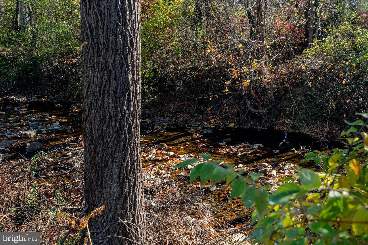 410 E EAST ROCKINGHAM ST, ELKTON, Virginia 22827, 4 Bedrooms Bedrooms, ,2 BathroomsBathrooms,Residential,For sale,410 E EAST ROCKINGHAM ST,VARO2002744 MLS # VARO2002744