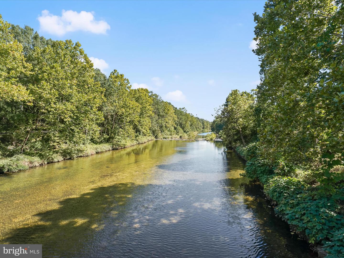 5300 HOLMES RUN PKWY #402, ALEXANDRIA, Virginia 22304, 2 Bedrooms Bedrooms, ,2 BathroomsBathrooms,Residential,For sale,5300 HOLMES RUN PKWY #402,VAAX2051910 MLS # VAAX2051910 5300 HOLMES RUN PKWY #402, ALEXANDRIA, Virginia 22304, 2 Bedrooms Bedrooms, ,2 BathroomsBathrooms,Residential,For sale,5300 HOLMES RUN PKWY #402,VAAX2051910 MLS # VAAX2051910