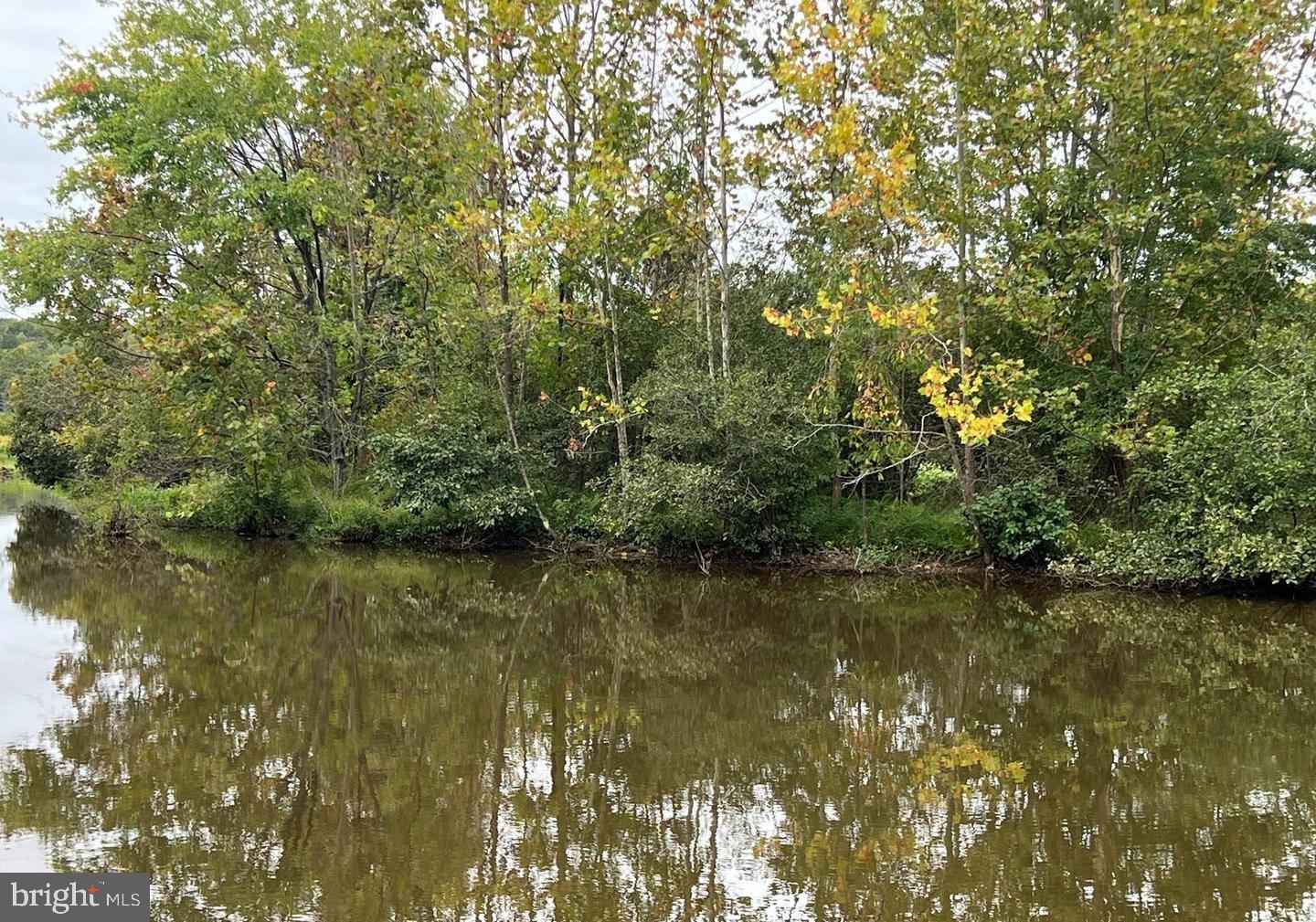 26700 DANIELS POINT DR, UNIONVILLE, Virginia 22567, 4 Bedrooms Bedrooms, ,3 BathroomsBathrooms,Residential,For sale,26700 DANIELS POINT DR,VAOR2012820 MLS # VAOR2012820 26700 DANIELS POINT DR, UNIONVILLE, Virginia 22567, 4 Bedrooms Bedrooms, ,3 BathroomsBathrooms,Residential,For sale,26700 DANIELS POINT DR,VAOR2012820 MLS # VAOR2012820