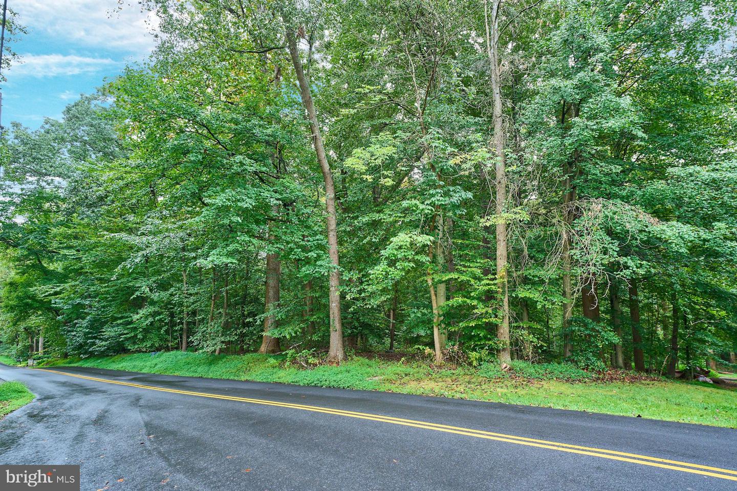 9113 JEFFERY RD, GREAT FALLS, Virginia 22066, ,Land,For sale,9113 JEFFERY RD,VAFX2278548 MLS # VAFX2278548