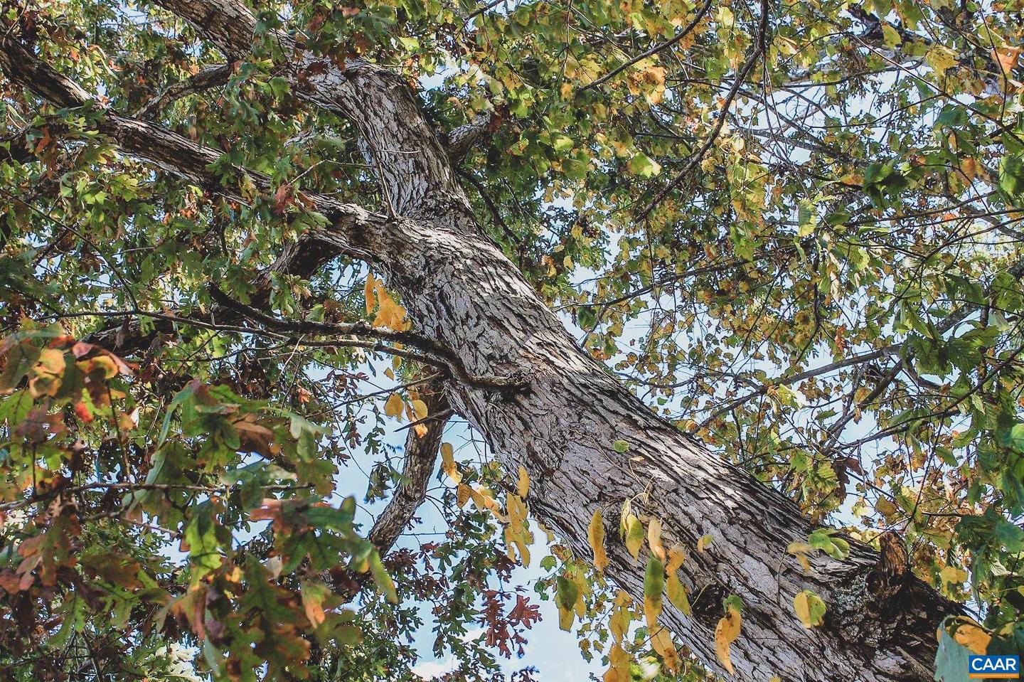 LOT 17 ROLLING RD S, SCOTTSVILLE, Virginia 24590, ,Land,For sale,LOT 17 ROLLING RD S,671253 MLS # 671253