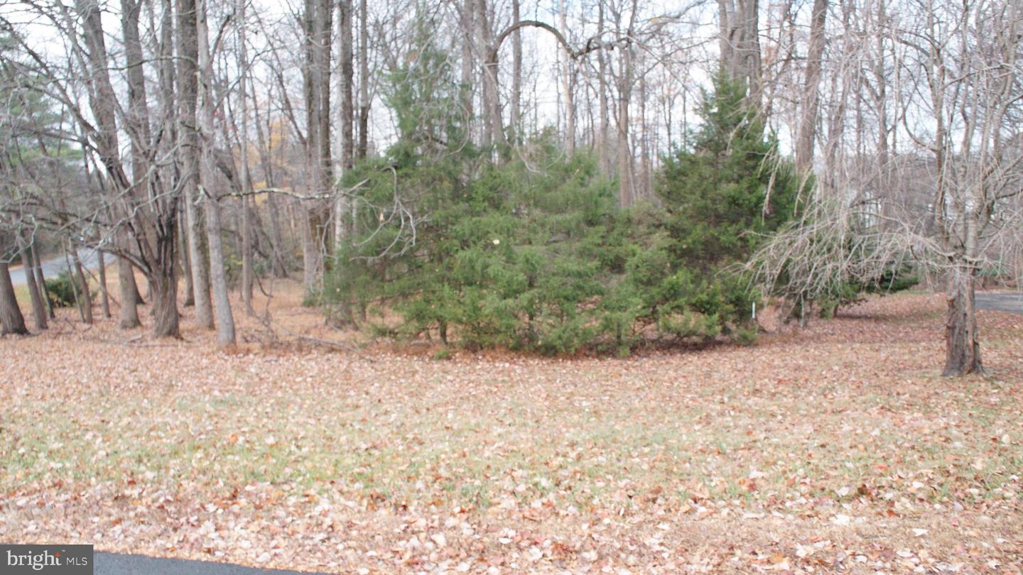 3144 SEARSMONT PL, HERNDON, Virginia 20171, ,Land,For sale,3144 SEARSMONT PL,VAFX2279724 MLS # VAFX2279724 3144 SEARSMONT PL, HERNDON, Virginia 20171, ,Land,For sale,3144 SEARSMONT PL,VAFX2279724 MLS # VAFX2279724