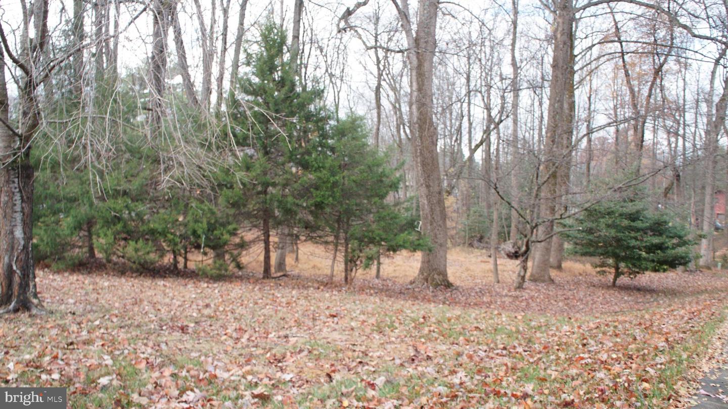 3144 SEARSMONT PL, HERNDON, Virginia 20171, ,Land,For sale,3144 SEARSMONT PL,VAFX2279724 MLS # VAFX2279724 3144 SEARSMONT PL, HERNDON, Virginia 20171, ,Land,For sale,3144 SEARSMONT PL,VAFX2279724 MLS # VAFX2279724
